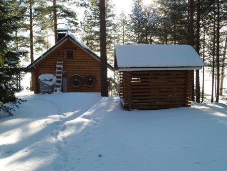 Mökki takaa ja puuvaja